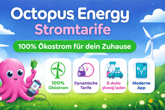 octopus energy stromtarif